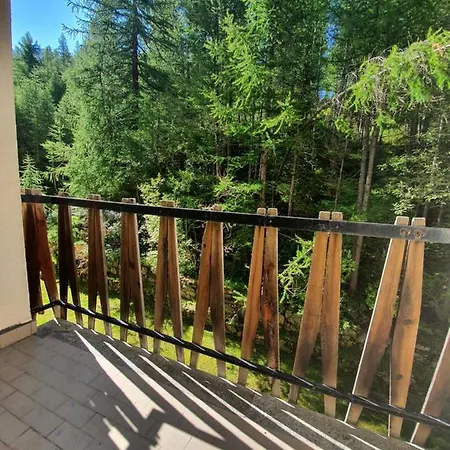 Cighe Family&friends - Cir 0514 * ברויל-קרוויניה